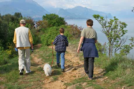 Hund am Gardasee