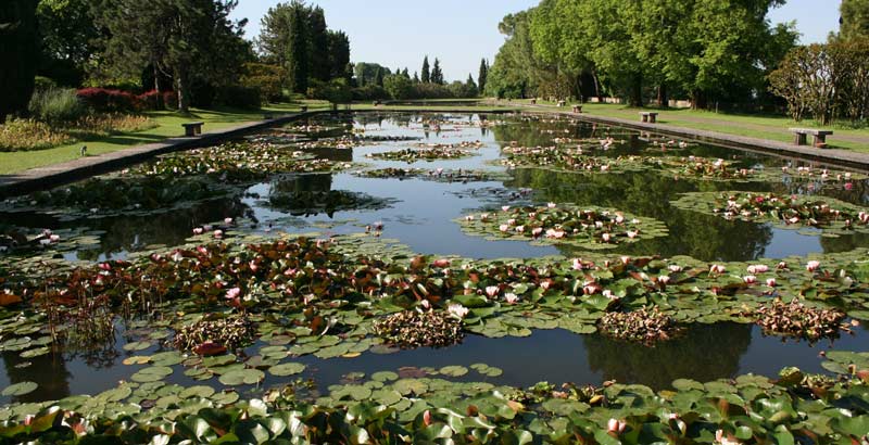 Teich im Parco Giardino Sigurtà