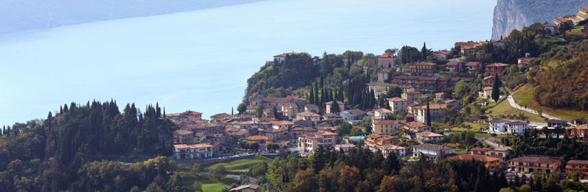 Tremosine