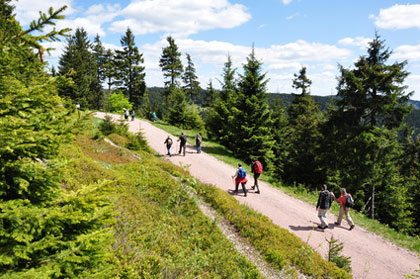 Der Wanderweg Sentioro della Pace