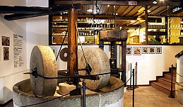Olivenölmuseum