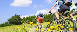 Radtour für Genießer von Sirmione nach Pozzolengo