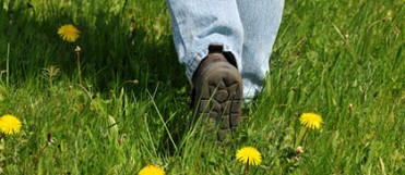 Wandertour auf dem Wanderweg Muravalle